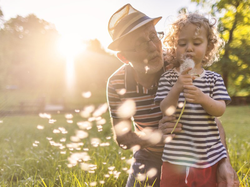 德国泰邦的责任