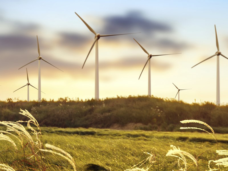 德国泰邦的坚持